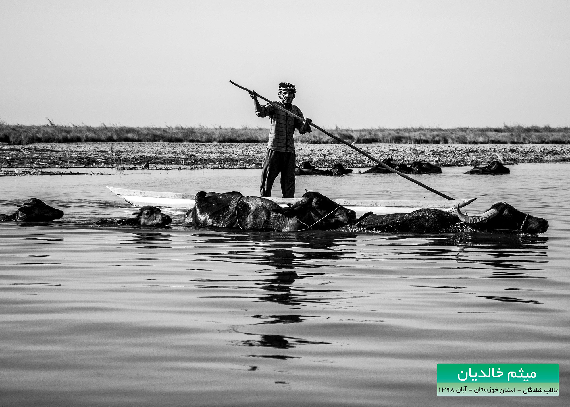 فراخوان شرکت در برنامه انتخاب قهرمان تالاب محیط بان نمونه تالابی سال 1399 تا 4 بهمن ماه تمدید شد